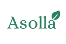 Asolla