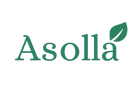 Asolla