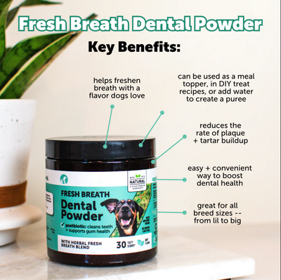 Asolla Fresh Breath Powder — Natural Dental Support for Small & Senior Dogs