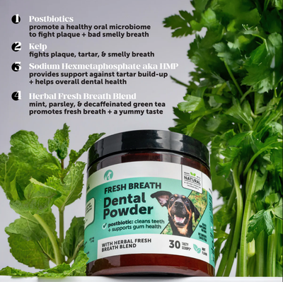 Asolla Fresh Breath Powder — Natural Dental Support for Small & Senior Dogs